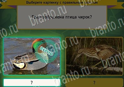 Выбирайка ответы в картинках Уровень 7136