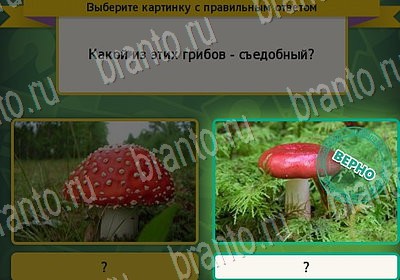 Игра Выбирайка Мой мир ответы Уровень 7137