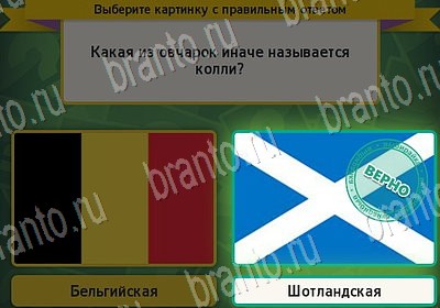ответы к игре Выбирайка Уровень 7145