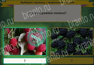 ответы на игру в одноклассниках Выбирайка Уровень 7146