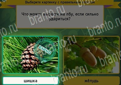 Одноклассники Выбирайка ответы Уровень 7148