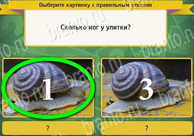 игра Выбирайка помощь Уровень 7159