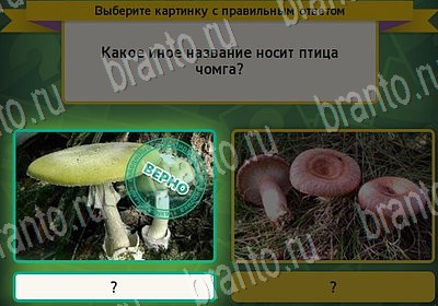 Выбирайка игра помощь Уровень 7165