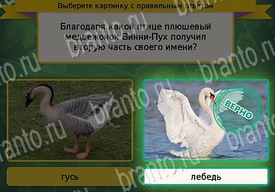 Игра Выбирайка Мой мир ответы Уровень 7167