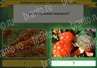 игра Выбирайка ВК помощь Уровень 7169
