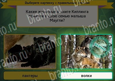 ответы на игру Выбирайка в одноклассниках Уровень 7171