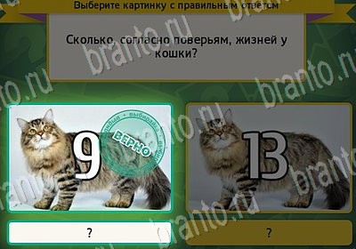 решебник на игру Выбирайка Уровень 7181