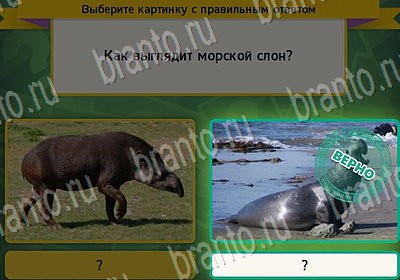 Выбирайка игра помощь Уровень 7185