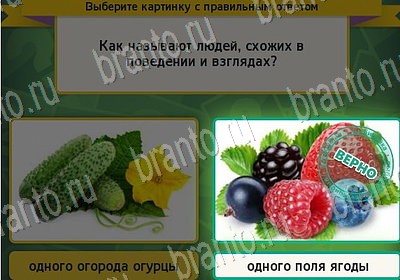 Игра Выбирайка ответы Уровень 7187