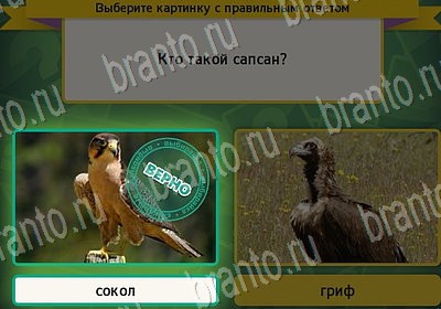 игра Выбирайка помощь Уровень 7189