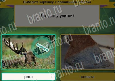 Выбирайка игра помощь Уровень 7195