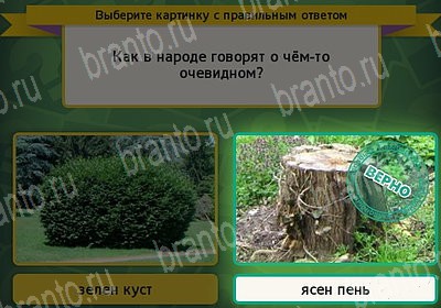 игра Выбирайка помощь Уровень 7219