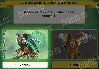 Игра Выбирайка Мой мир ответы Уровень 7227