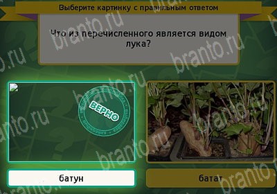 игра Выбирайка ВК помощь Уровень 7229