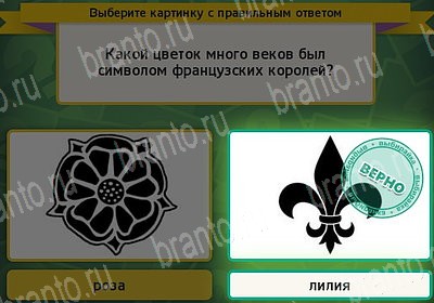 игра Выбирайка ответ на Уровень 7240