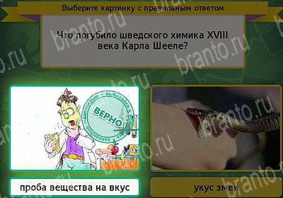 Выбирайка игра подсказки Уровень 7244