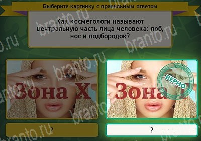 Выбирайка ответы в картинках Уровень 7256