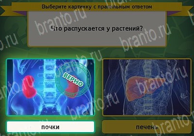 игра Выбирайка ВК помощь Уровень 7259