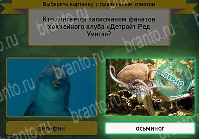 Игра Выбирайка ответы Уровень 7277