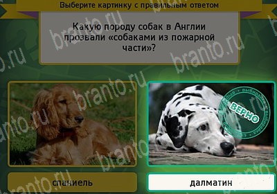 игра Выбирайка помощь Уровень 7279