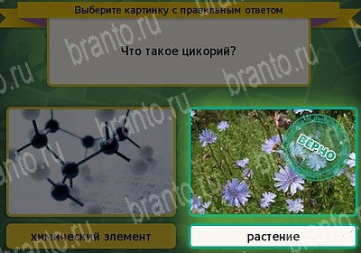 решебник на игру Выбирайка Уровень 7281