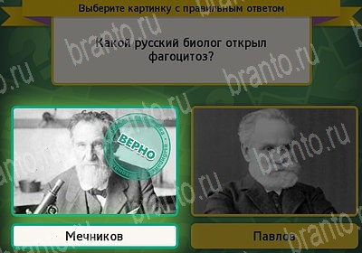 Выбирайка игра ответы Уровень 7283