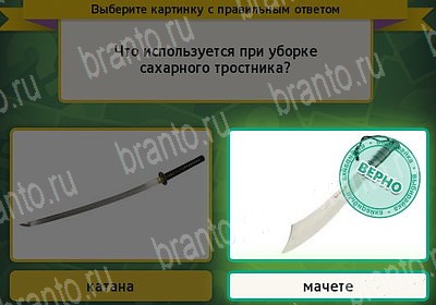Выбирайка ответы в картинках Уровень 7286