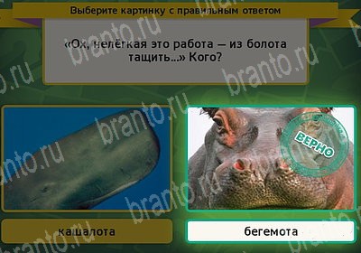 игра Выбирайка ВК помощь Уровень 7289