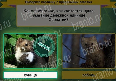 Выбирайка игра помощь Уровень 7315