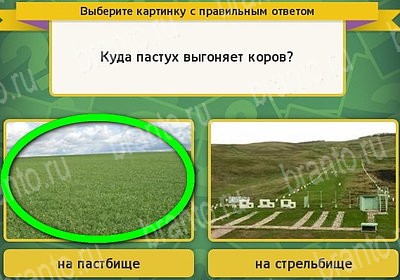 игра Выбирайка Мой мир ответ на Уровень 7320