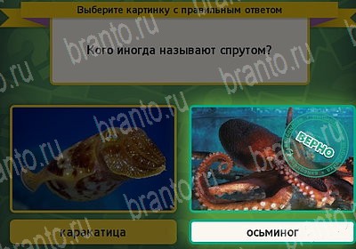ответы на игру Выбирайка в одноклассниках Уровень 7321