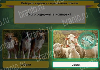 ответы на игру в одноклассниках Выбирайка Уровень 7326