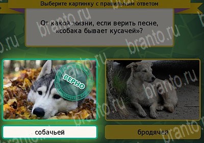 Выбирайка игра ответы в одноклассниках Уровень 7327