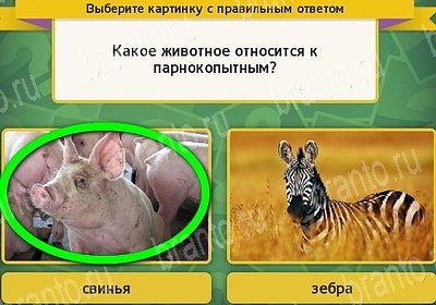 игра Выбирайка ответ на Уровень 7330