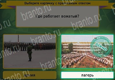 Игра Выбирайка подсказки Уровень 7338