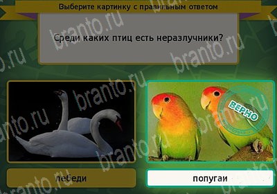 Выбирайка игра подсказки Уровень 7344