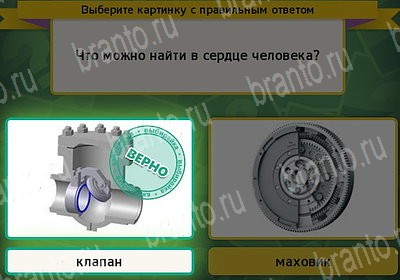 Выбирайка игра помощь Уровень 7345