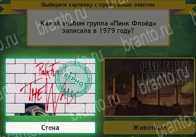 Выбирайка решения Уровень 7362