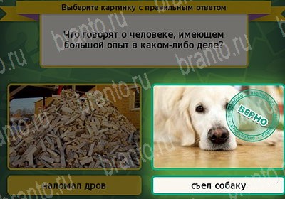 Выбирайка игра ответы Уровень 7363