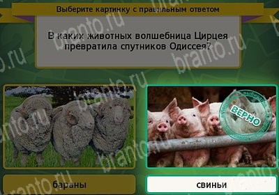 Выбирайка игра подсказки Уровень 7394