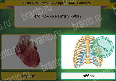 игра Выбирайка Мой мир ответ на Уровень 7410