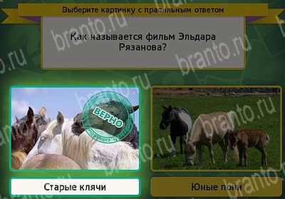 Одноклассники Выбирайка ответы Уровень 7418