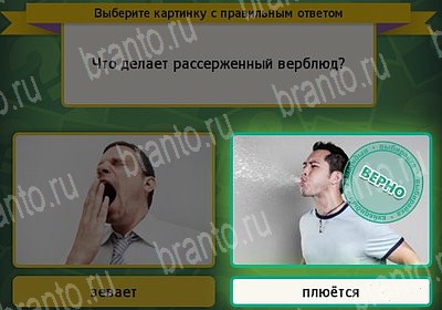 игра Выбирайка ВК помощь Уровень 7439