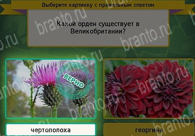 Решения на игру Выбирайка Уровень 7443