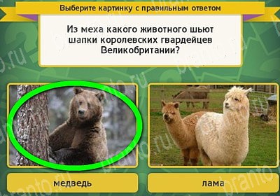 ответы к игре Выбирайка Уровень 7445