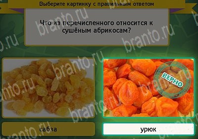 игра Выбирайка ответ на Уровень 7450