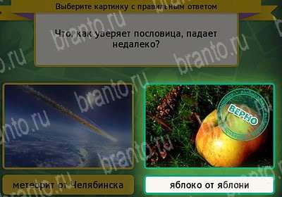 Выбирайка игра ответы Уровень 7463