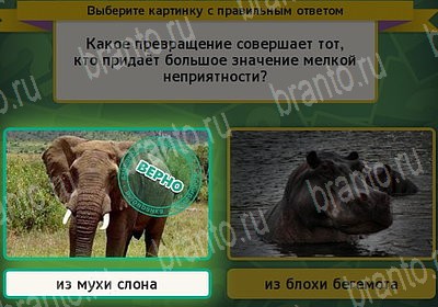 ответы на игру в одноклассниках Выбирайка Уровень 7476