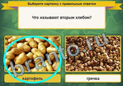 Выбирайка игра помощь Уровень 
705