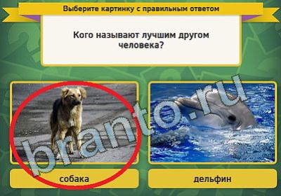 ответы на игру в одноклассниках Выбирайка Уровень 786